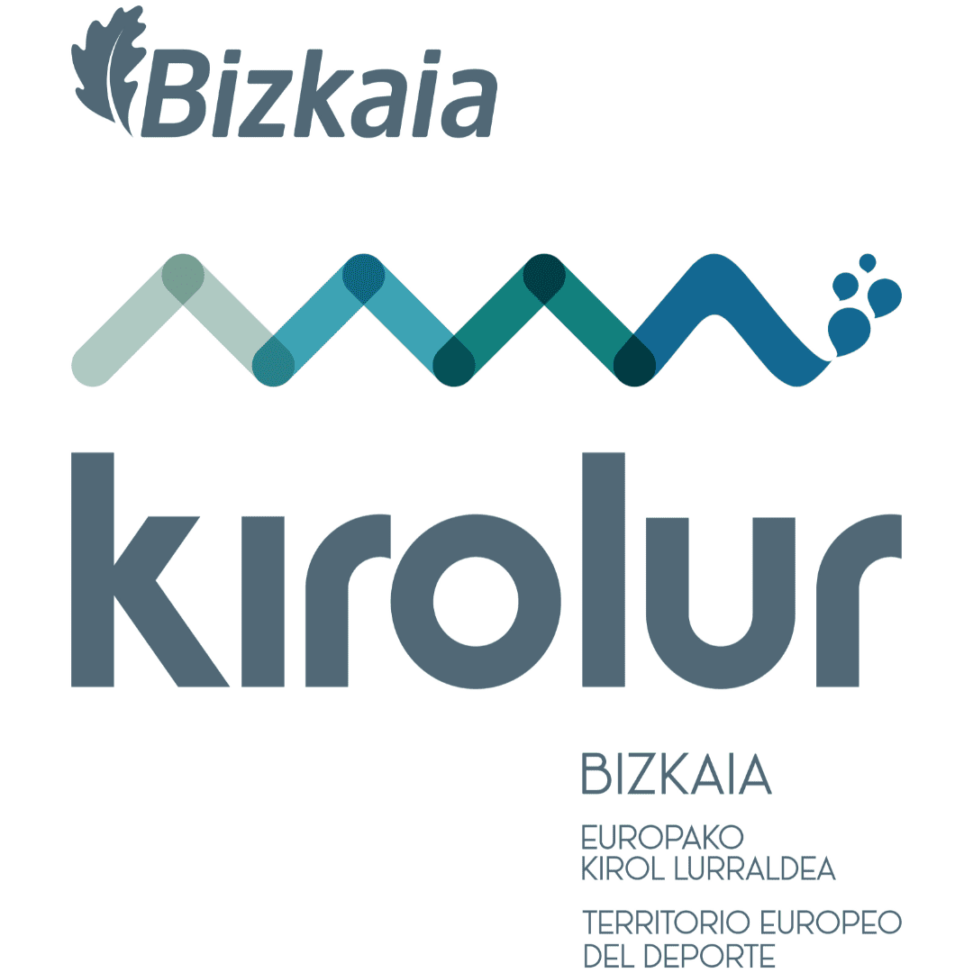 Bizkaiko Foru Aldundia